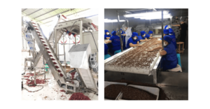 皮带输送机在食品行业中升级