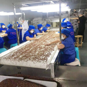 花椒挑选输送皮带输送机案例