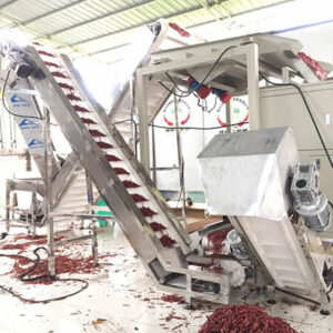 辣椒提升皮带输送机案例